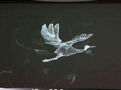 -中国湿地博物馆