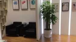 点击看大图 -MedSkinCare科技祛痘肌肤修护中心
