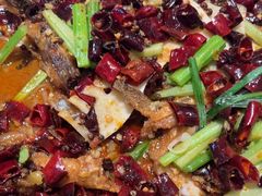 -老板恋上鱼(恒隆广场店)