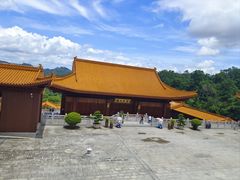 -深圳仙湖植物园