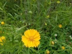 -白鹭湾湿地公园