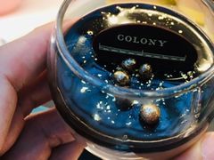 -Colony(新加坡丽思卡尔顿美年酒店)