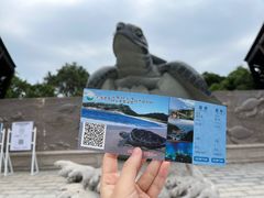 -广东惠东海龟国家级自然保护区