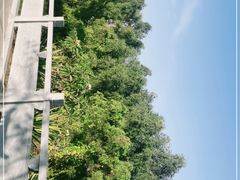 -金鸡岭桥头公园