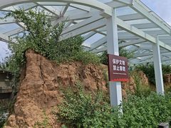 -柳沟豆腐宴69号福豆堂