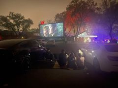 -枫花园汽车电影院(朝阳公园店)