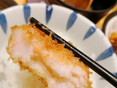 -胜博殿日式炸猪排(西红门店)