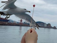 -海驴岛(荣成市)