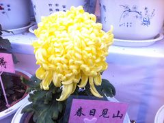 -迎泽公园