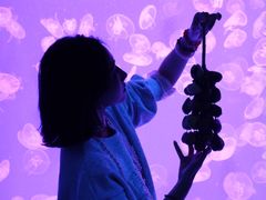 -沈阳海洋探索中心