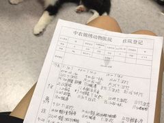 -喜多萌中农锦绣动物医院24H·猫科·牙科MRI·CT