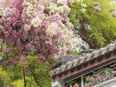 -深圳国际园林花卉博览园