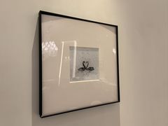 -黑天鹅蛋糕店(青年大街店)