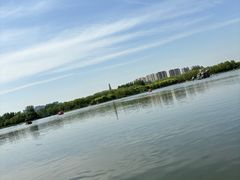 -大兴滨河森林公园