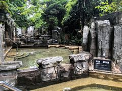 -海口观澜湖火山温泉谷