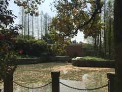 -上海佘山国家森林公园西佘山园