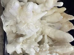 -游龙石文化科普馆