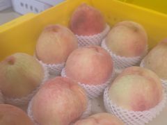 -老袁家蜜桃农场·阳山水蜜桃