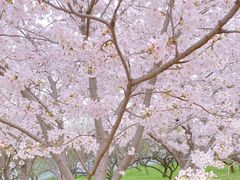 -苏州上方山国家森林公园
