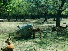 -西安秦岭野生动物园