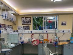 -动物缘宠物医院·骨科·猫科(西二环店)