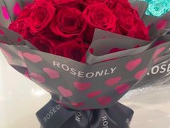 -ROSEONLY诺誓(广州K11店)