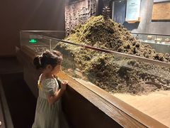 -马鞍山市博物馆