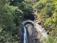 -广州白江湖森林公园