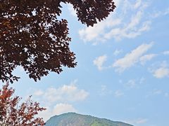 -少华山国家森林公园