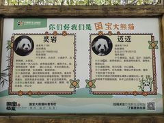 -栾川竹海野生动物园