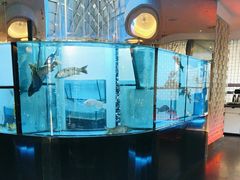 -王家渡火锅店(棕榈泉店)