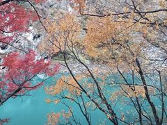 -叠溪松坪沟景区