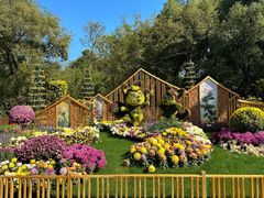 -上海共青森林公园