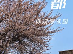 -国际非物质文化遗产博览园