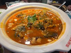 -魏铭鱼头捞饭(晋阳路店)