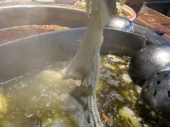 -青山青豆花·笑禅豆腐鱼(黄泥塝店)