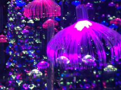 -杭州西湖星空魔幻城(星空艺术馆品牌旗舰店)