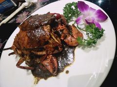 -小娘惹厨房Little Nyonya(狮城有约上榜店)