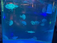 -洛阳龙门海洋馆