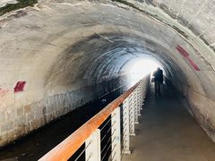-白水寺森林公园
