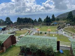 -玉苍山国家森林公园