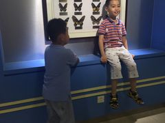 -上海昆虫博物馆