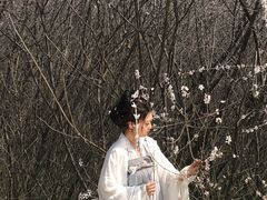 -明秦王墓遗址