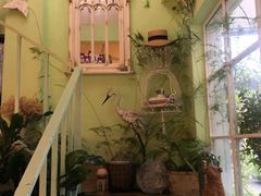 -Jo's Garden