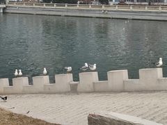 -马栏河运动公园