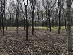 -东郊湿地公园