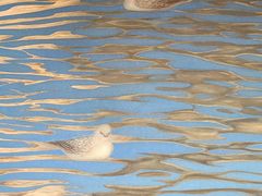 -二沙岛-广东华侨博物馆