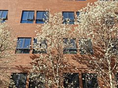 -北京市海淀外国语实验学校