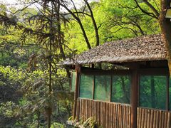 -巴倒烫陆派重庆火锅(南山店)