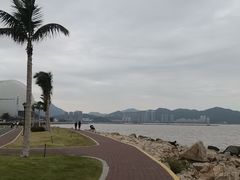 -野狸岛